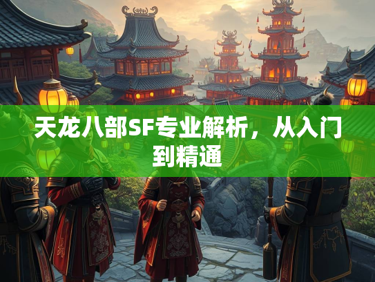 天龙八部SF专业解析，从入门到精通