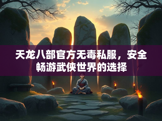 天龙八部官方无毒私服，安全畅游武侠世界的选择  第2张