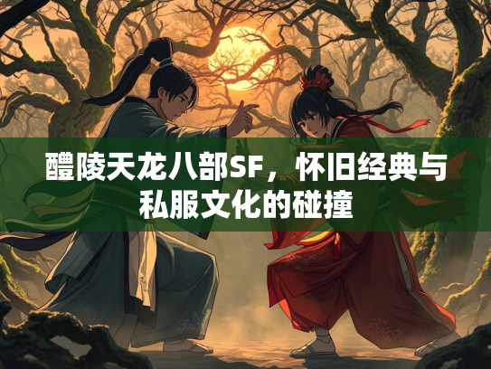 醴陵天龙八部SF，怀旧经典与私服文化的碰撞  第2张