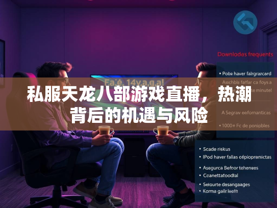 私服天龙八部游戏直播，热潮背后的机遇与风险