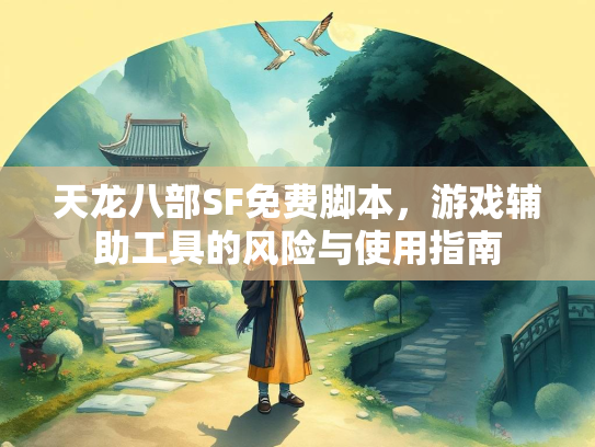 天龙八部SF免费脚本，游戏辅助工具的风险与使用指南  第3张
