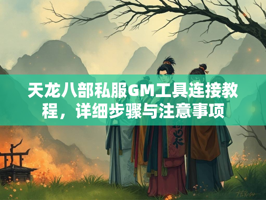 天龙八部私服GM工具连接教程，详细步骤与注意事项  第2张