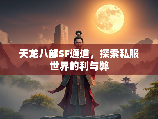 天龙八部SF通道，探索私服世界的利与弊