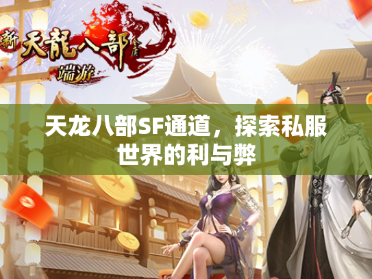 天龙八部SF通道，探索私服世界的利与弊