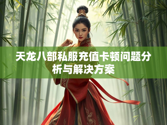 天龙八部私服充值卡顿问题分析与解决方案
