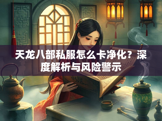 天龙八部私服怎么卡净化？深度解析与风险警示  第2张