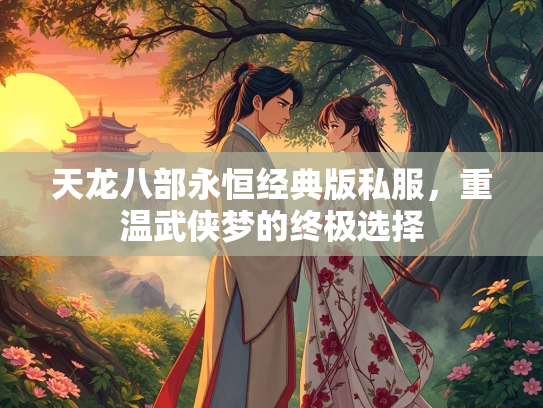 天龙八部永恒经典版私服，重温武侠梦的终极选择  第3张