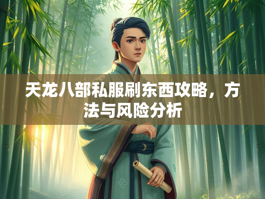 天龙八部私服刷东西攻略，方法与风险分析  第3张