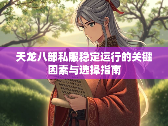 天龙八部私服稳定运行的关键因素与选择指南  第2张