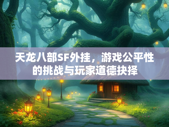 天龙八部SF外挂，游戏公平性的挑战与玩家道德抉择  第3张