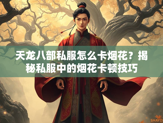 天龙八部私服怎么卡烟花？揭秘私服中的烟花卡顿技巧  第2张