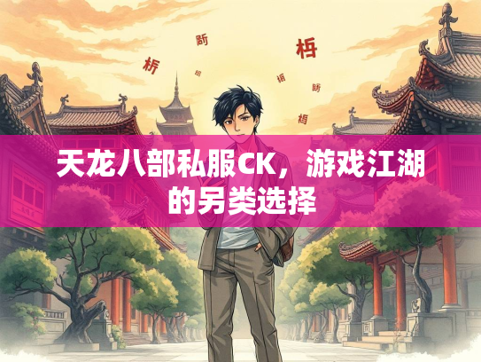 天龙八部私服CK，游戏江湖的另类选择  第2张