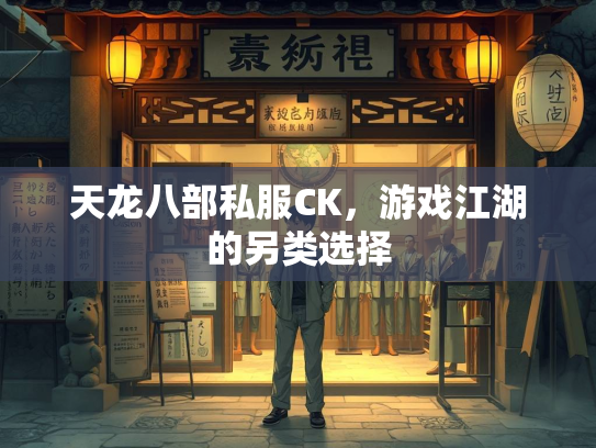 天龙八部私服CK，游戏江湖的另类选择  第3张