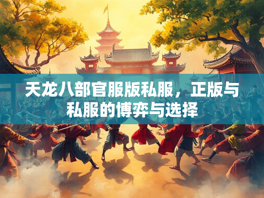 天龙八部官服版私服，正版与私服的博弈与选择  第2张