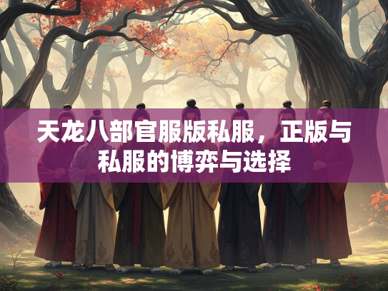 天龙八部官服版私服，正版与私服的博弈与选择