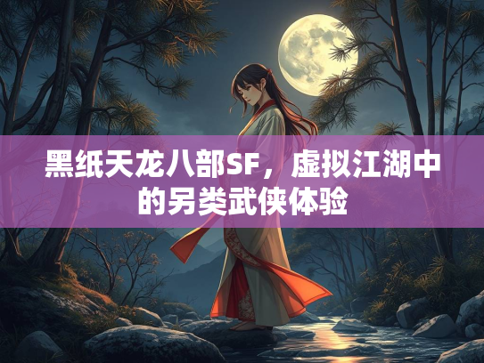 黑纸天龙八部SF，虚拟江湖中的另类武侠体验  第2张