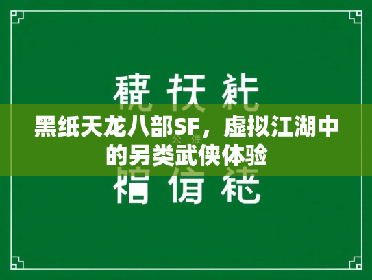 黑纸天龙八部SF，虚拟江湖中的另类武侠体验