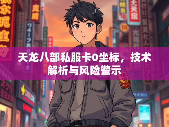 天龙八部私服卡0坐标，技术解析与风险警示