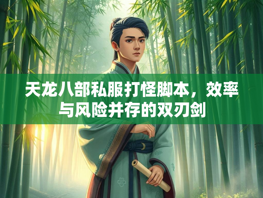 天龙八部私服打怪脚本，效率与风险并存的双刃剑  第2张