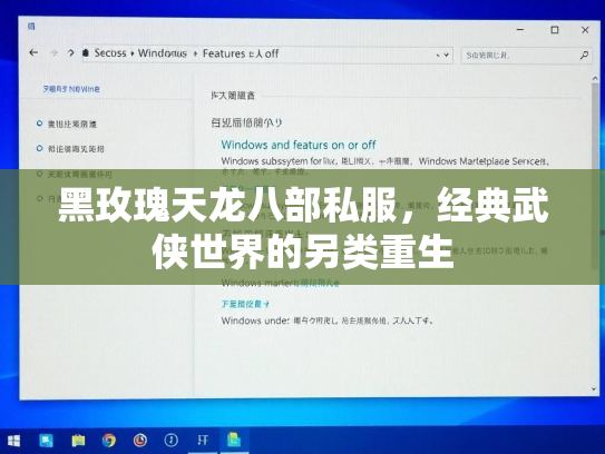黑玫瑰天龙八部私服，经典武侠世界的另类重生  第2张