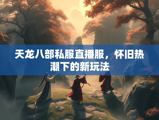 天龙八部私服直播服，怀旧热潮下的新玩法  第3张