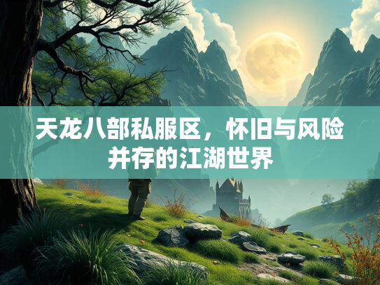 天龙八部私服区，怀旧与风险并存的江湖世界  第2张