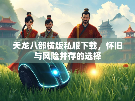 天龙八部横版私服下载，怀旧与风险并存的选择