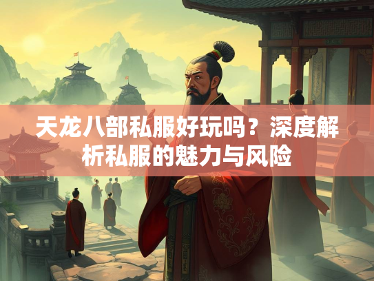 天龙八部私服好玩吗？深度解析私服的魅力与风险  第2张
