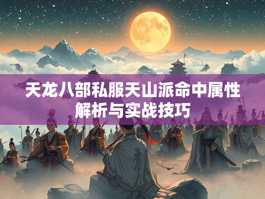 天龙八部私服天山派命中属性解析与实战技巧  第2张