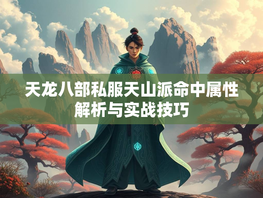 天龙八部私服天山派命中属性解析与实战技巧