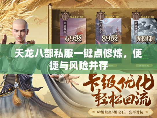 天龙八部私服一键点修炼，便捷与风险并存