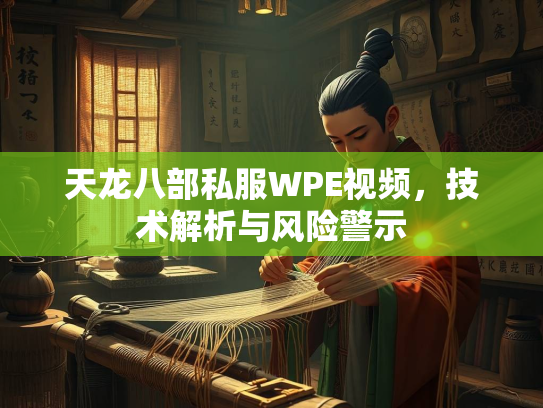 天龙八部私服WPE视频，技术解析与风险警示