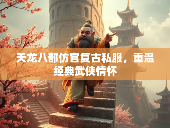 天龙八部仿官复古私服，重温经典武侠情怀  第3张