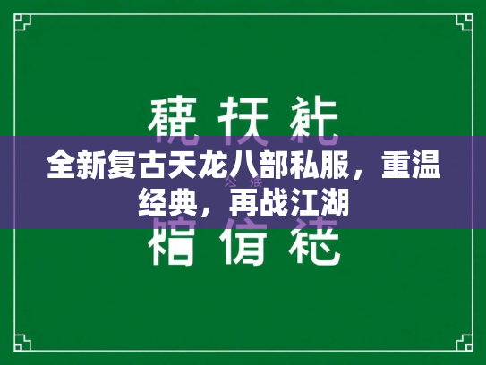 全新复古天龙八部私服，重温经典，再战江湖