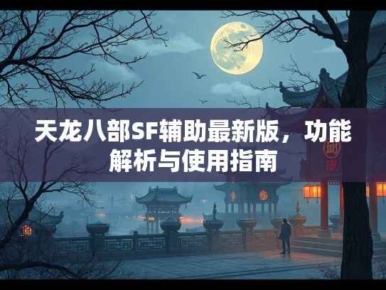 天龙八部SF辅助最新版，功能解析与使用指南