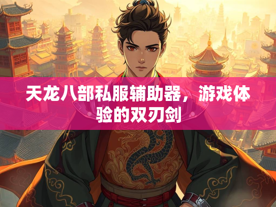 天龙八部私服辅助器，游戏体验的双刃剑