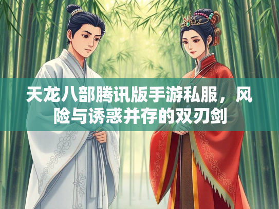 天龙八部腾讯版手游私服，风险与诱惑并存的双刃剑  第2张