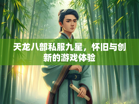 天龙八部私服九星，怀旧与创新的游戏体验  第2张