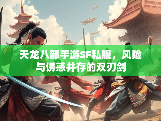 天龙八部手游SF私服，风险与诱惑并存的双刃剑  第2张
