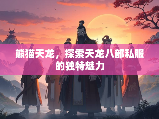 熊猫天龙，探索天龙八部私服的独特魅力  第3张