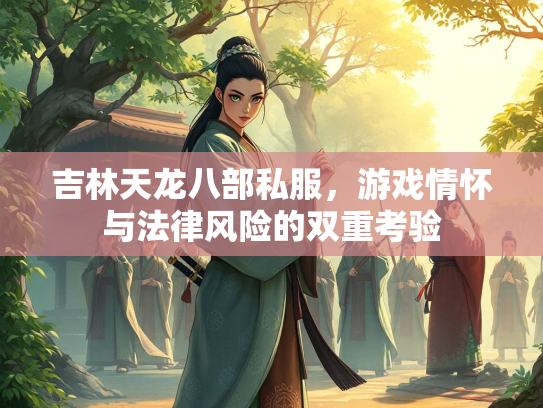 吉林天龙八部私服，游戏情怀与法律风险的双重考验  第2张