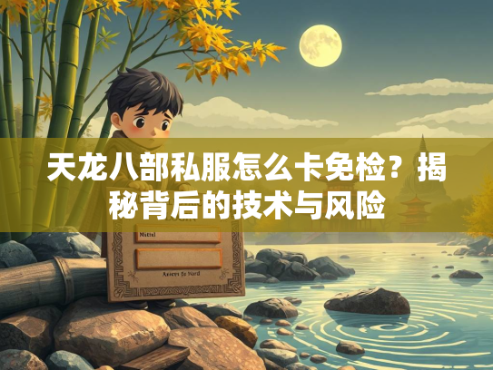 天龙八部私服怎么卡免检？揭秘背后的技术与风险  第2张