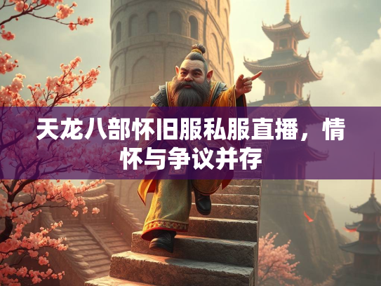 天龙八部怀旧服私服直播，情怀与争议并存  第2张