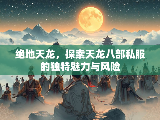绝地天龙，探索天龙八部私服的独特魅力与风险  第2张