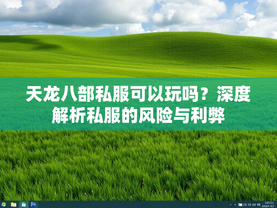 天龙八部私服可以玩吗？深度解析私服的风险与利弊  第1张