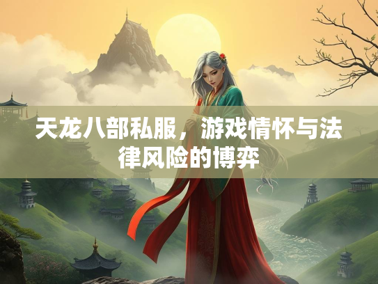 天龙八部私服，游戏情怀与法律风险的博弈  第2张