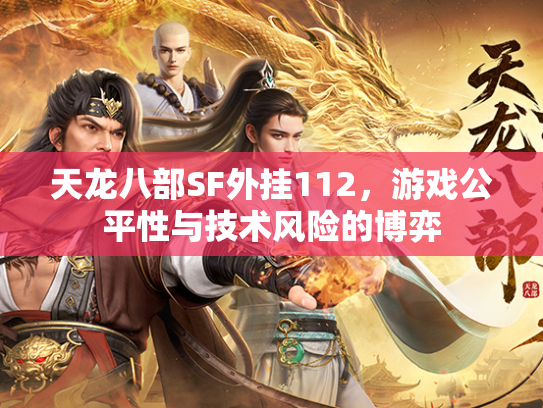 天龙八部SF外挂112，游戏公平性与技术风险的博弈  第2张