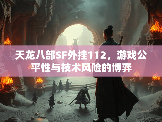 天龙八部SF外挂112，游戏公平性与技术风险的博弈  第3张