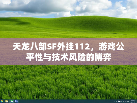 天龙八部SF外挂112，游戏公平性与技术风险的博弈