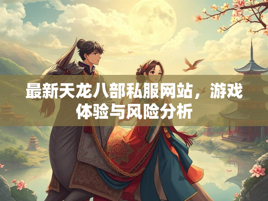 最新天龙八部私服网站，游戏体验与风险分析  第3张